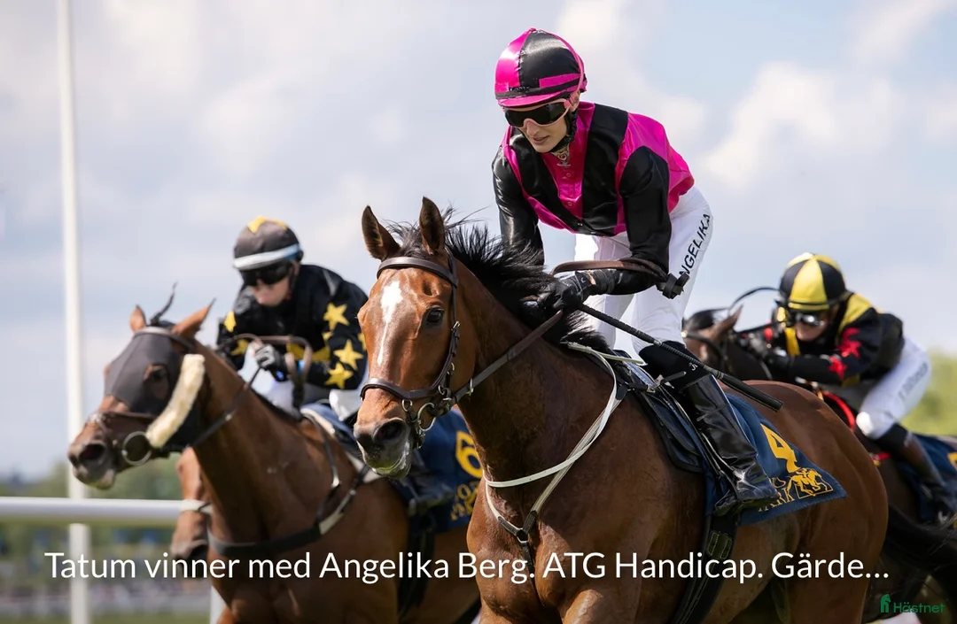 Fälttävlan hästar till salu: Atletisk fullblodskille med fart och glöd i Enköping - Annons 5