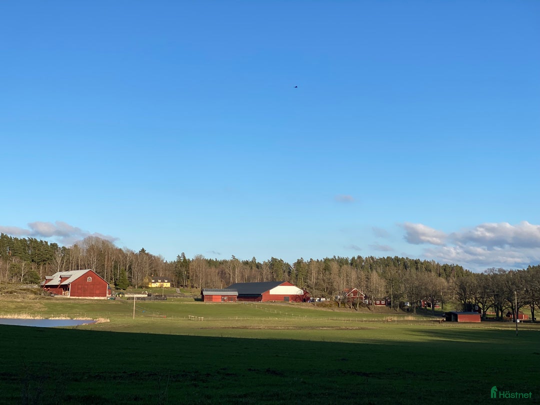  stallplats finnes: Lediga stallplatser mellan Södertälje & Nyköping  i Tystberga - Annons 1