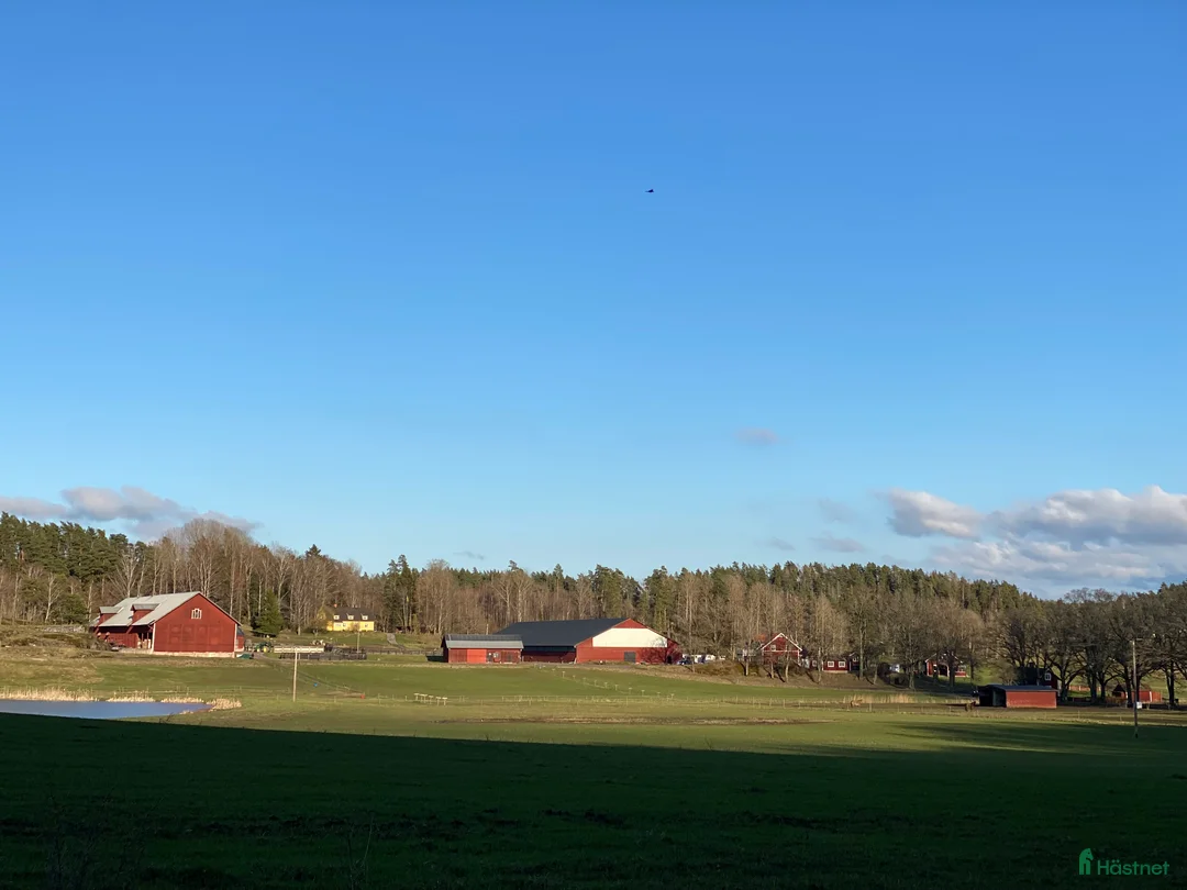  stallplats finnes: Lediga stallplatser mellan Södertälje & Nyköping  i Tystberga - Annons 1