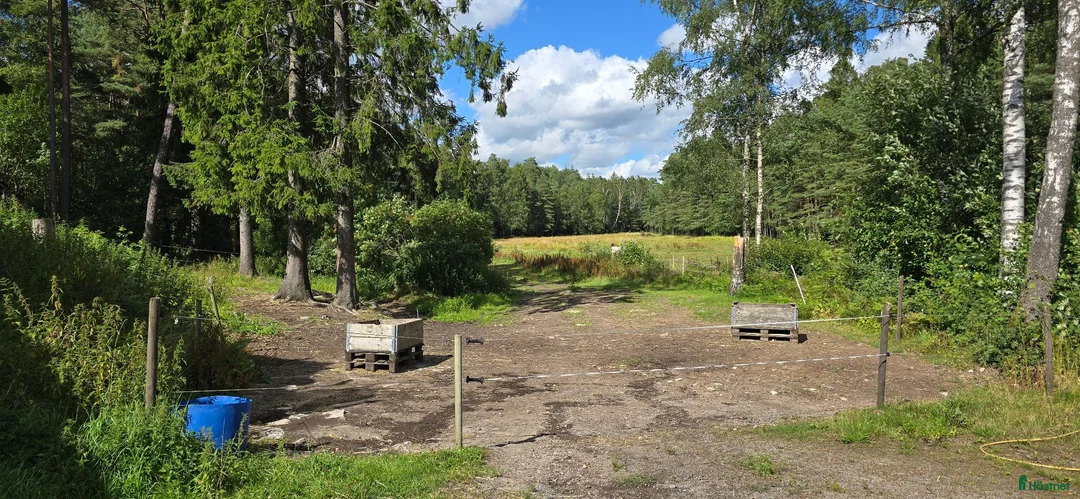  stallplats finnes: 2 lediga ponnyboxar  - Annons 3