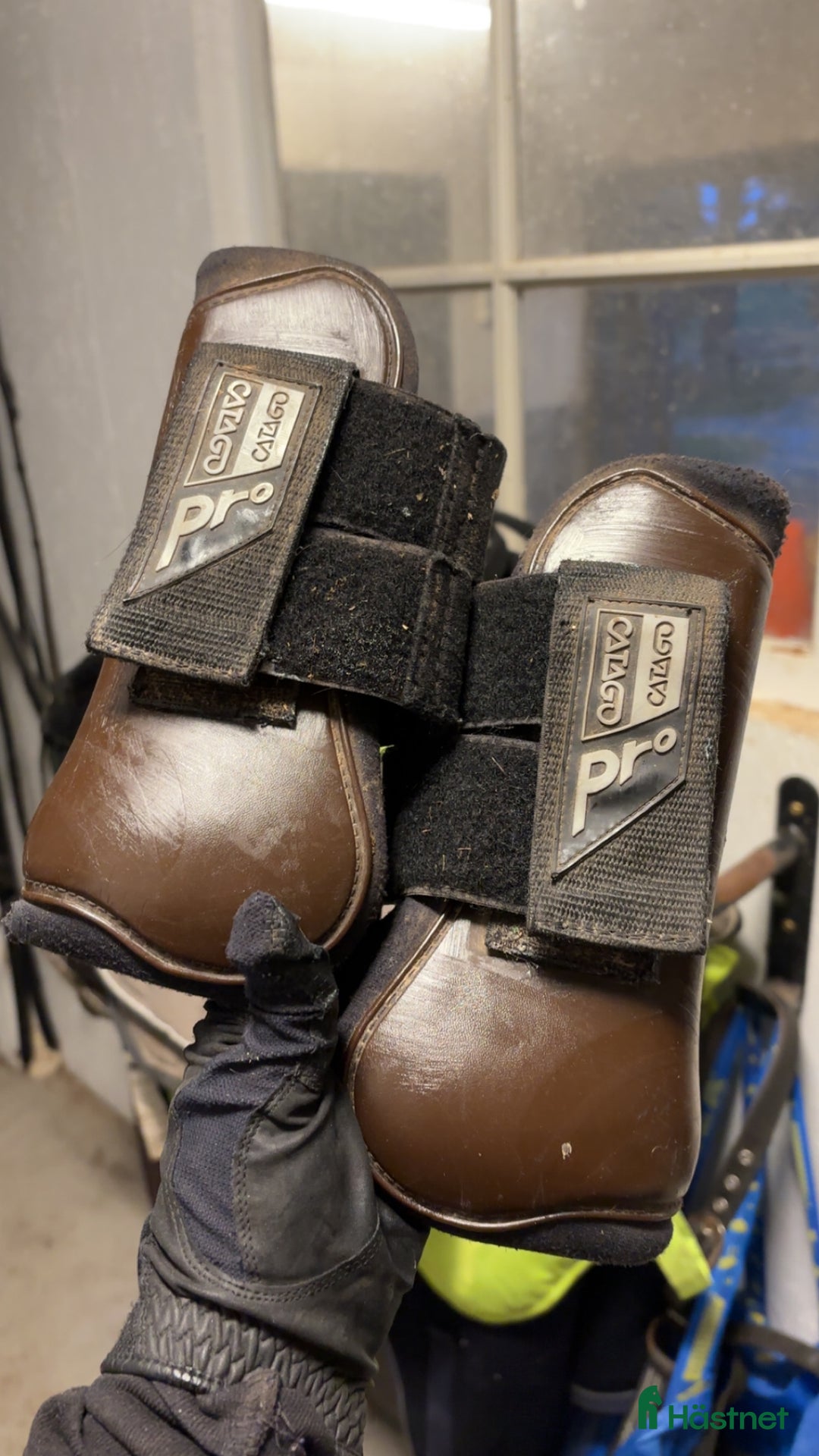 Benskydd hästutrustning till salu: Perfekta benskydd  i Lillkyrka - Annons 1