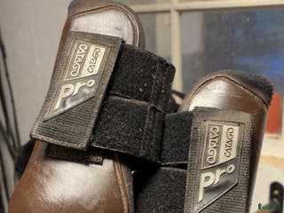 Benskydd hästutrustning till salu: Perfekta benskydd i Lillkyrka - Annons 9