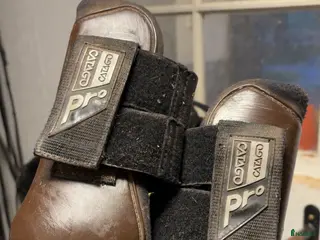 Benskydd hästutrustning till salu: Perfekta benskydd i Lillkyrka - Annons 3