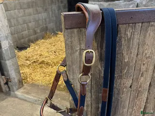 Övrig Hästutrustning hästutrustning PS of Sweden lädergrimma - Annons 1