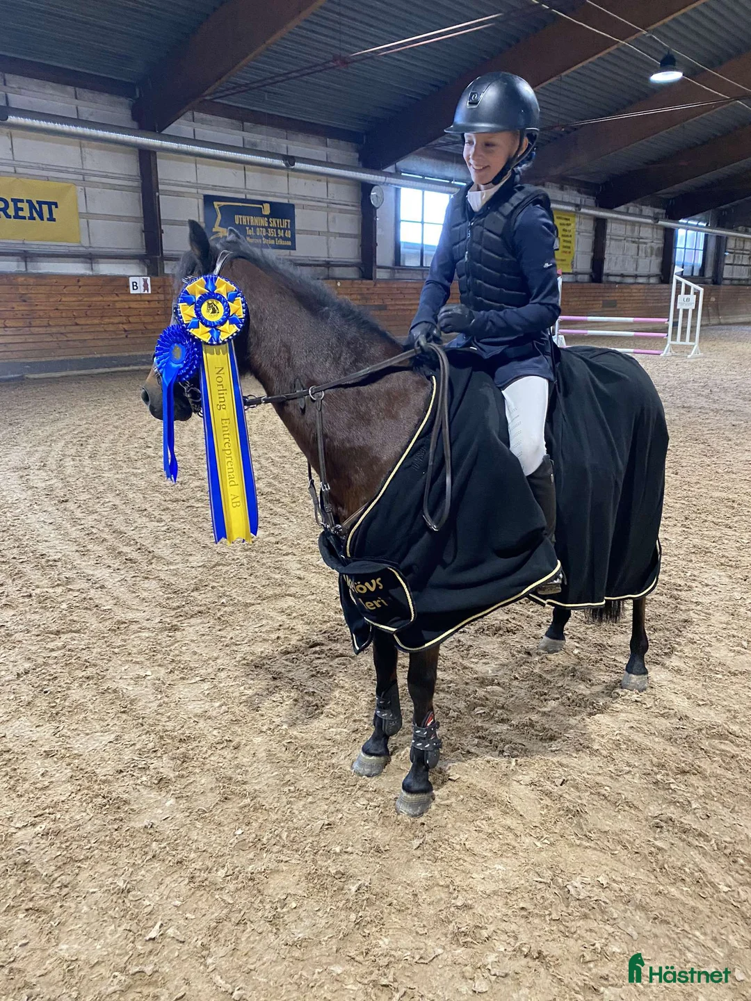 Hoppning hästar till salu: Rosett plockare i Sala - Annons 3