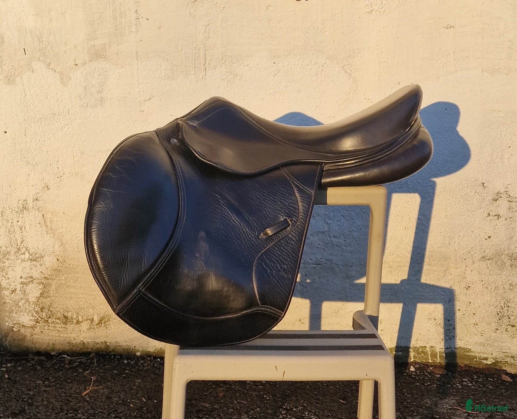 Sadlar hästutrustning till salu: Lippo Allegria i Matfors - Annons 23