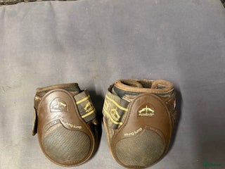 Benskydd hästutrustning till salu: Veredus bakskydd i Vännäs - Annons 1