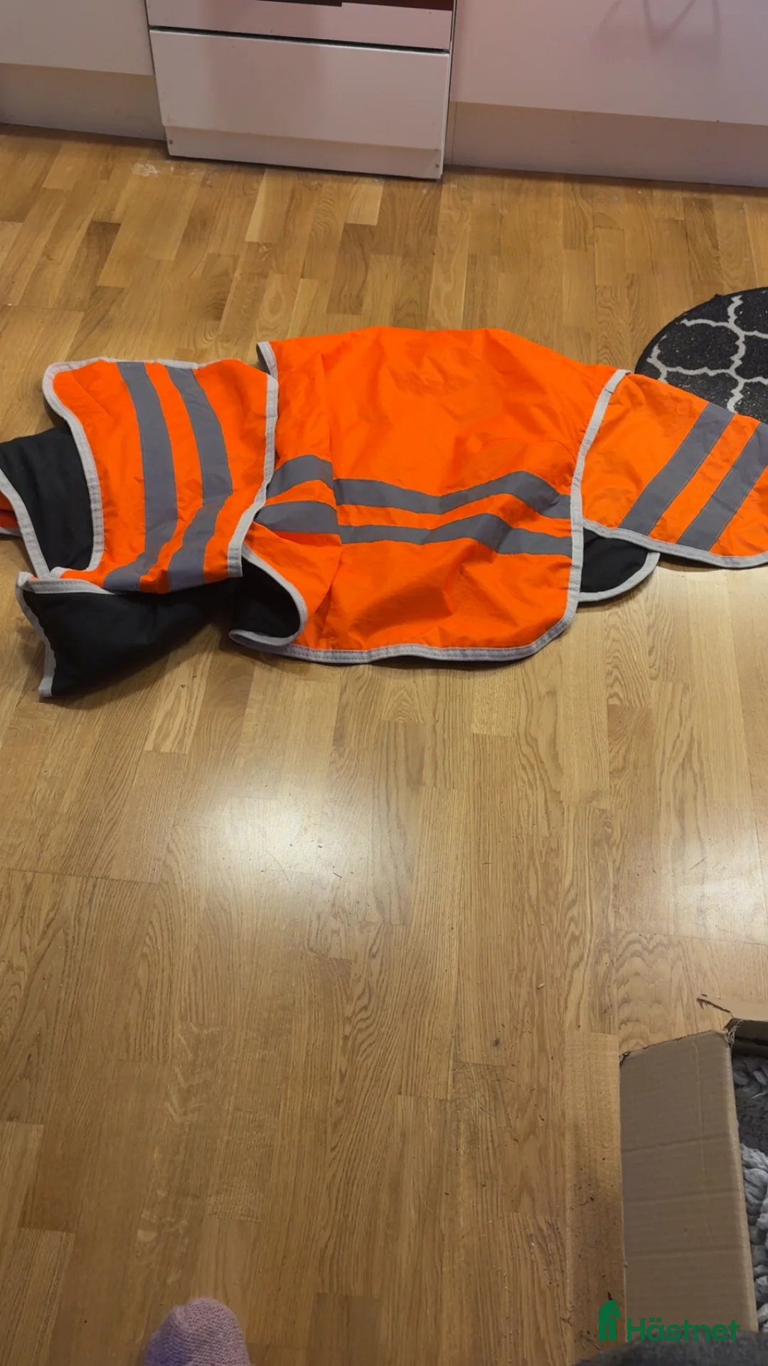 Övrig Hästutrustning hästutrustning till salu: Reflex täcken och benskydd  i Nyköping - Annons 3