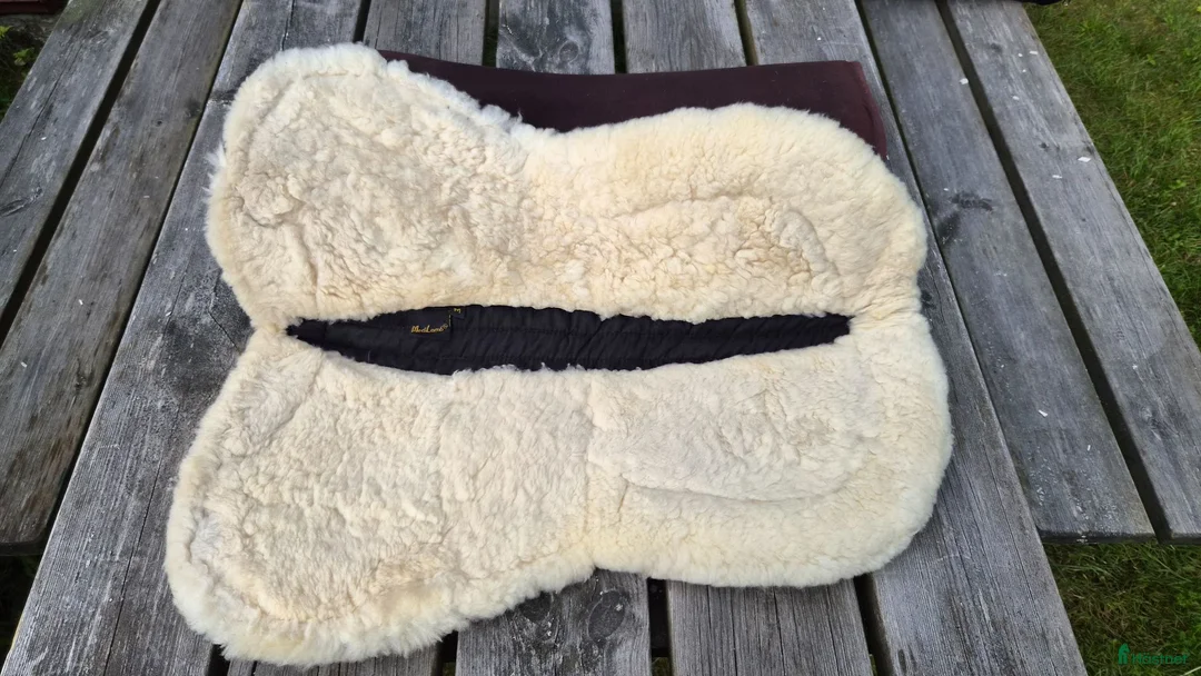 Sadeltillbehör hästutrustning till salu: Fårskinnspadd & Acavallo memoryfoam  - Annons 2