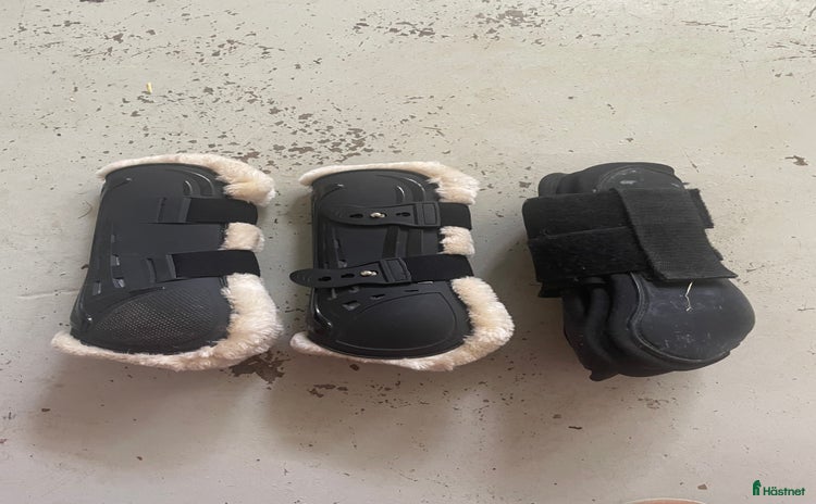Benskydd hästutrustning till salu i Markaryd - Annons 18