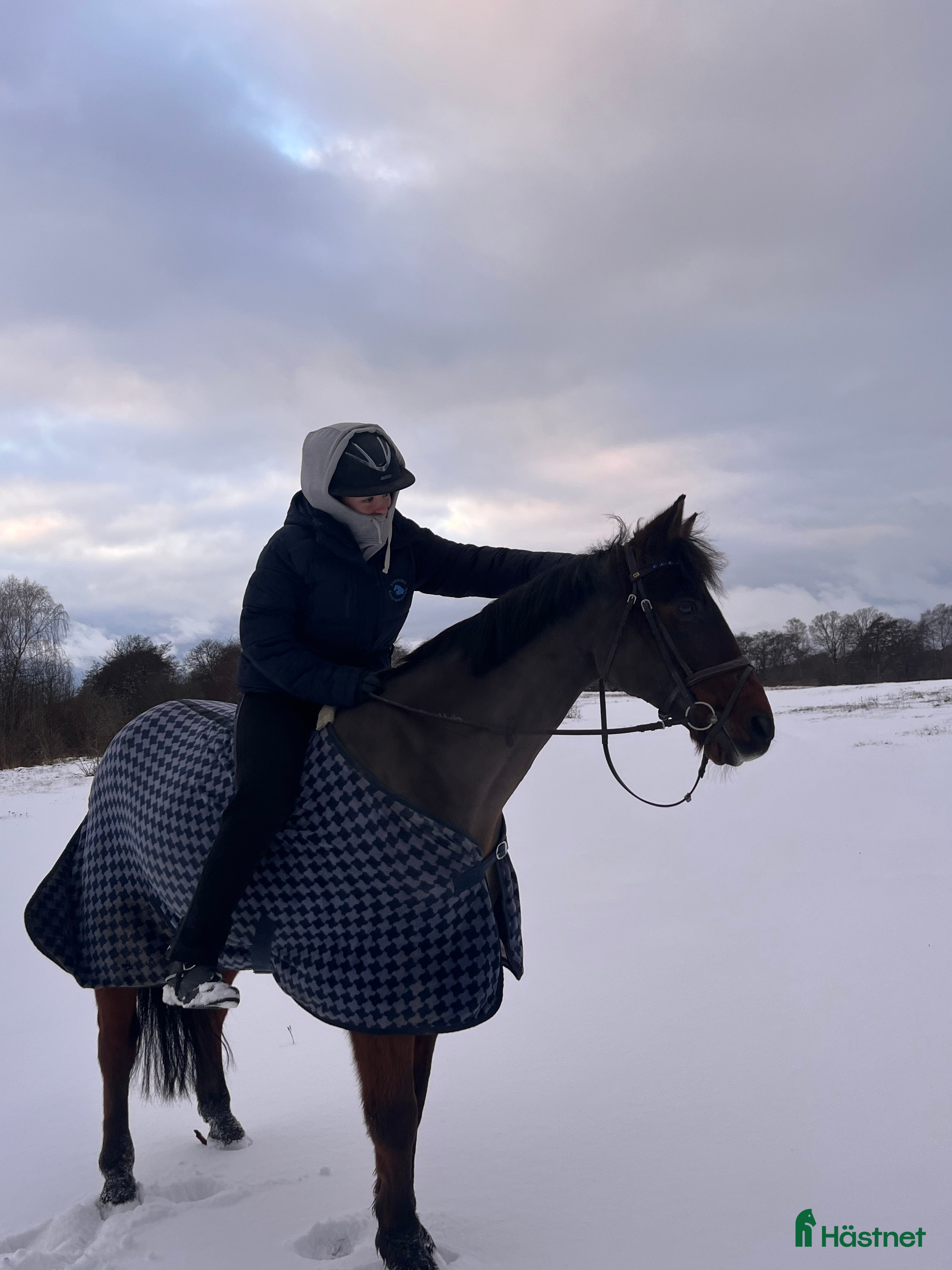  hästar Bästa kompis🌸 i Svedala - Annons 3