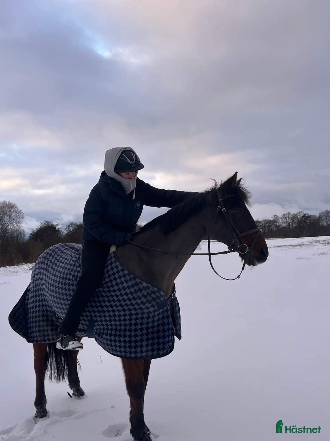 Allround hästar till salu: Bästa kompis🌸 i Svedala - Annons 1