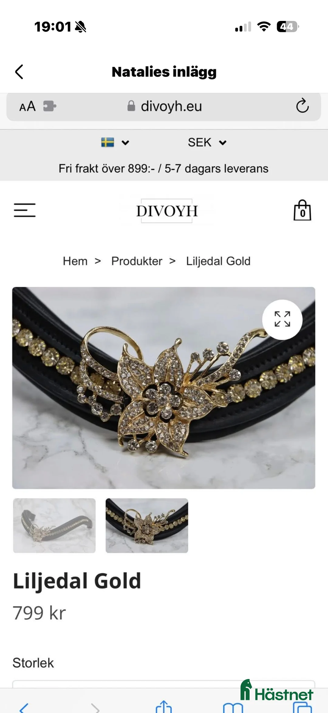 Träns hästutrustning till salu: Svart/Guldigt Divoyh pannband - Annons 2