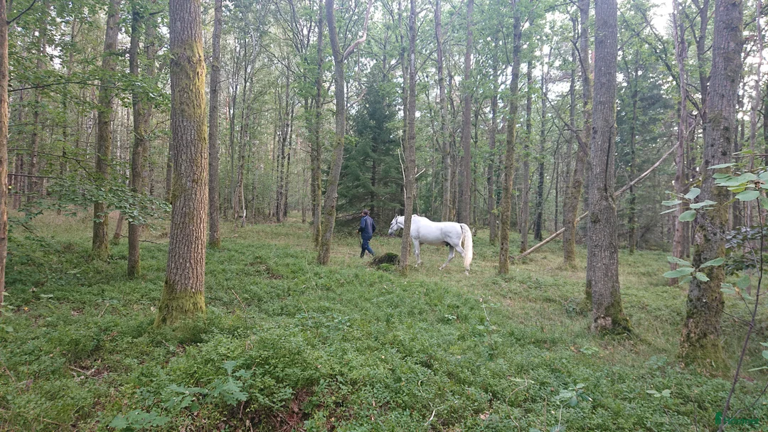  stallplats finnes: Box i centrala Göteborg  - Annons 6
