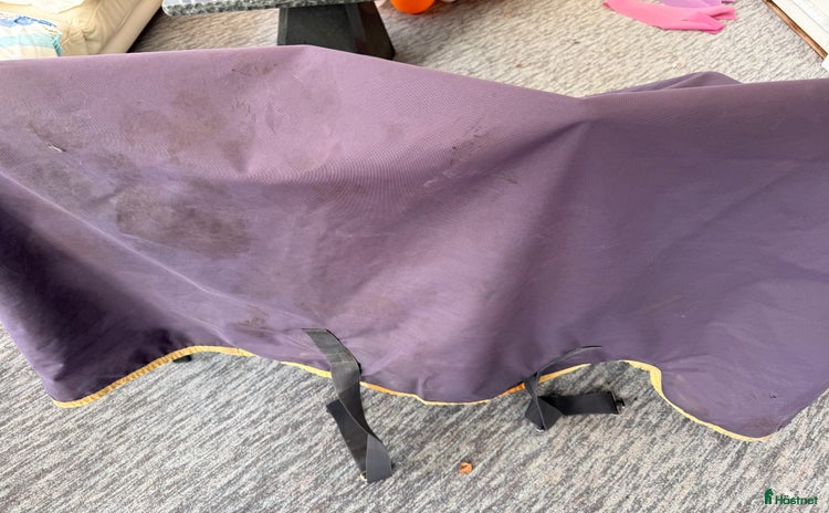 Täcken hästutrustning till salu i Linköping - Annons 8