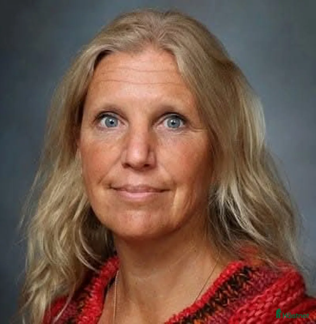 Galleribild {{count}}