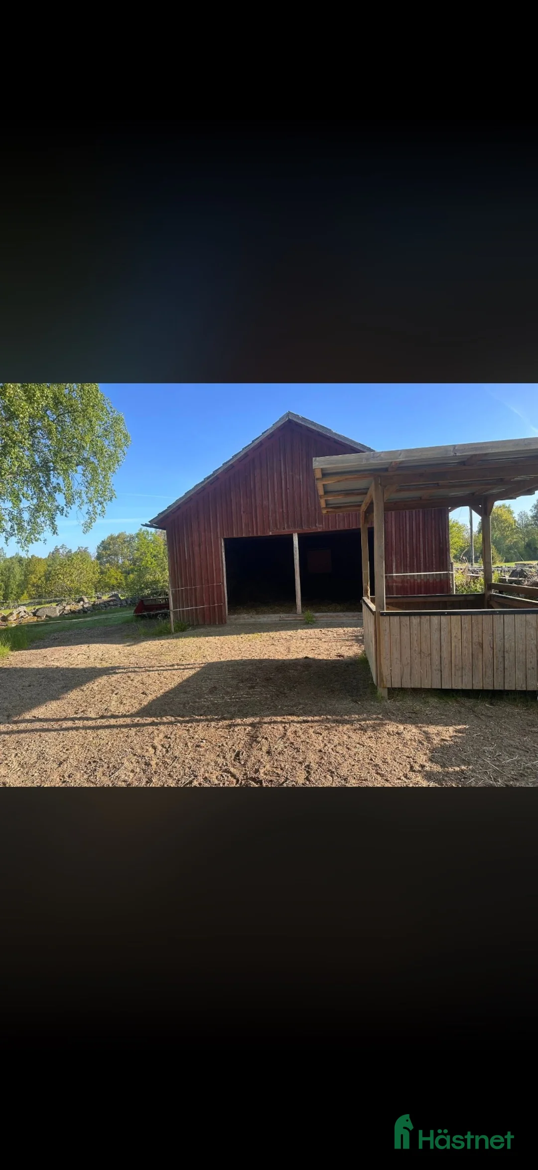  stallplats finnes: Lösdrift för valacker/unghingstar finnes  i Linneryd - Annons 2