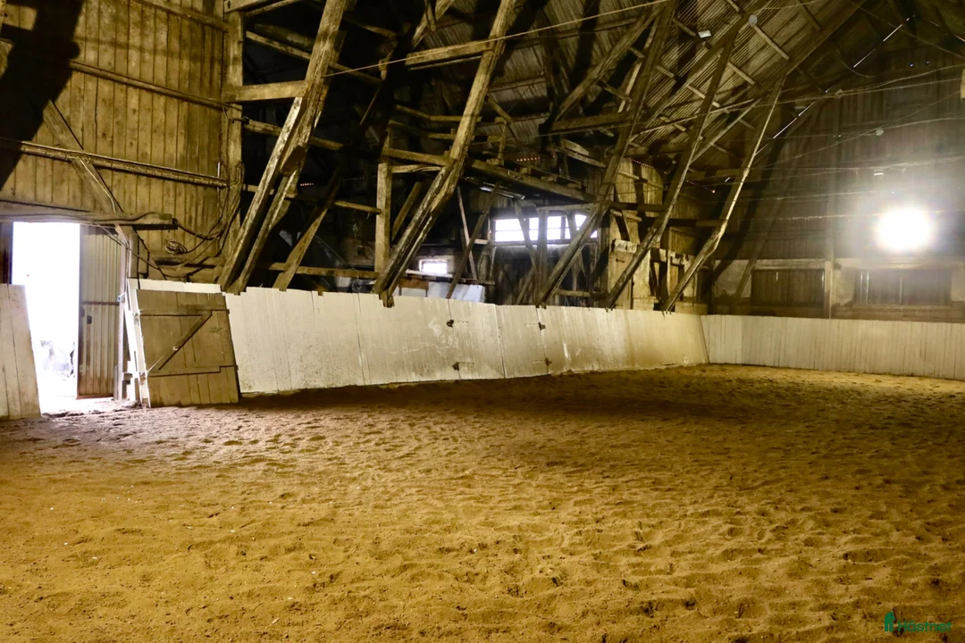  stallplats finnes: Stallplatser i Harplinge  - Annons 2