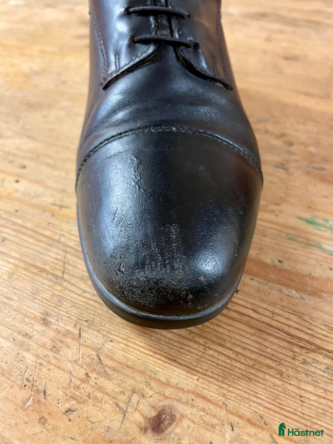 Ridstövlar ryttarutrustning till salu: HorseLife ridstövlar i Tranås - Annons 5