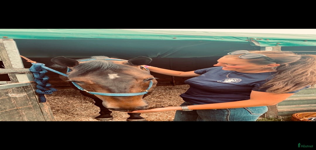 Galleribild {{count}}