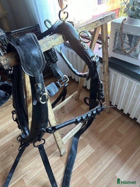 Körselar körning till salu: Loksele m Tömmar, Frakt till COB, stor häst - Annons 12