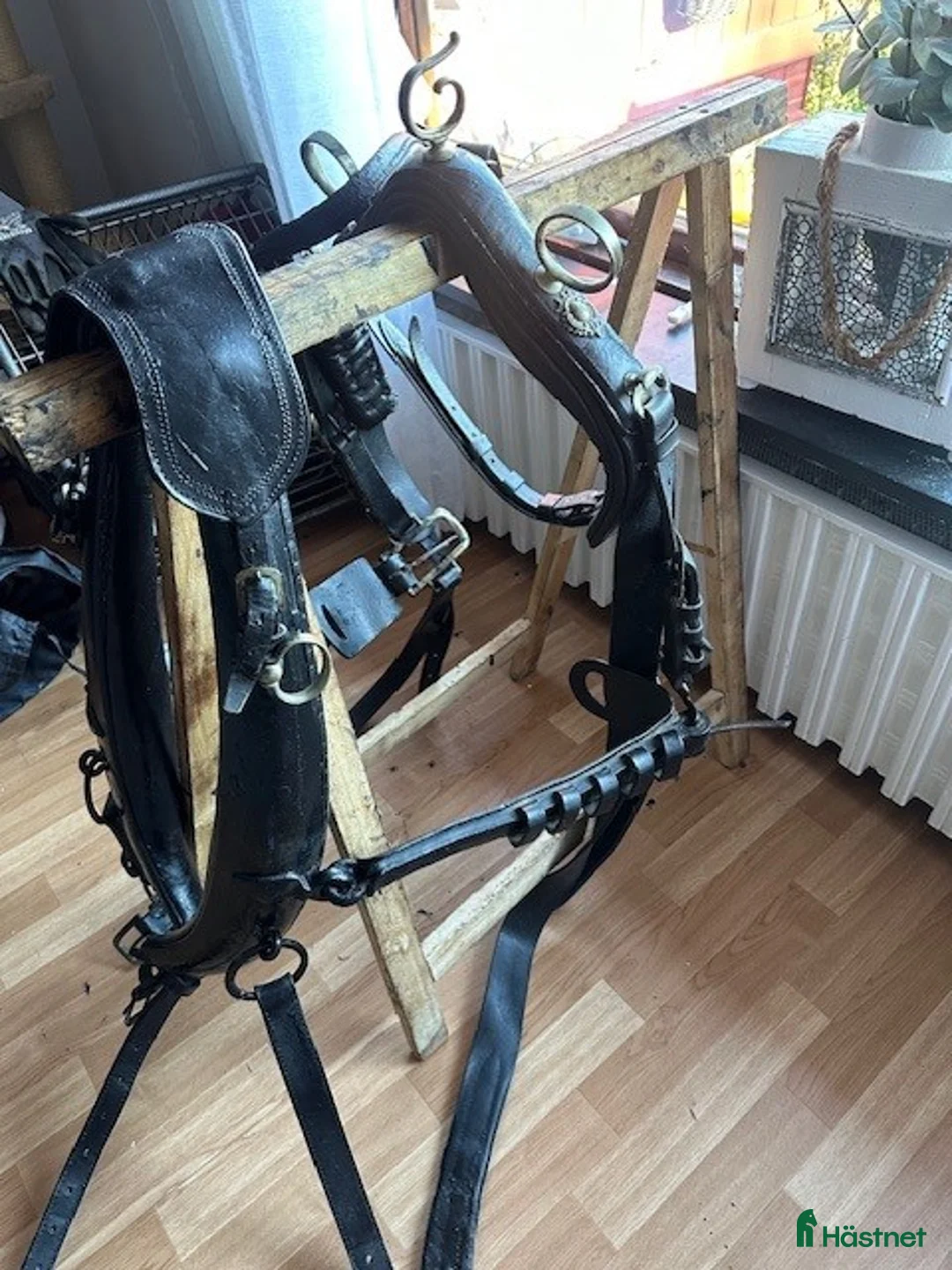 Körselar körning till salu: Loksele m Tömmar, Frakt till COB, stor häst - Annons 1