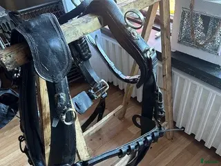 Körselar körning till salu: Loksele m Tömmar, Frakt till COB, stor häst - Annons 4