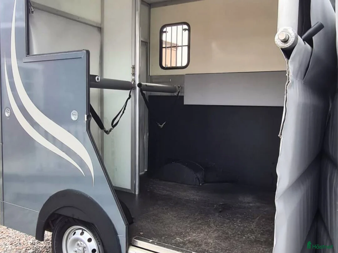 Hästlastbilar  fordon & transport till salu: Ultralätt Stuteri (YKS71T) LASTVIKT: 1 065kg i Täby - Annons 3