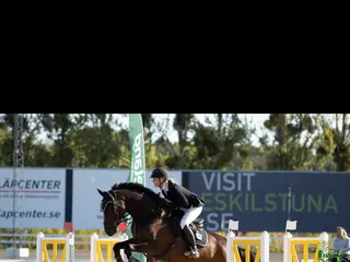 hästar Talangfull 7 åring! - Annons 6