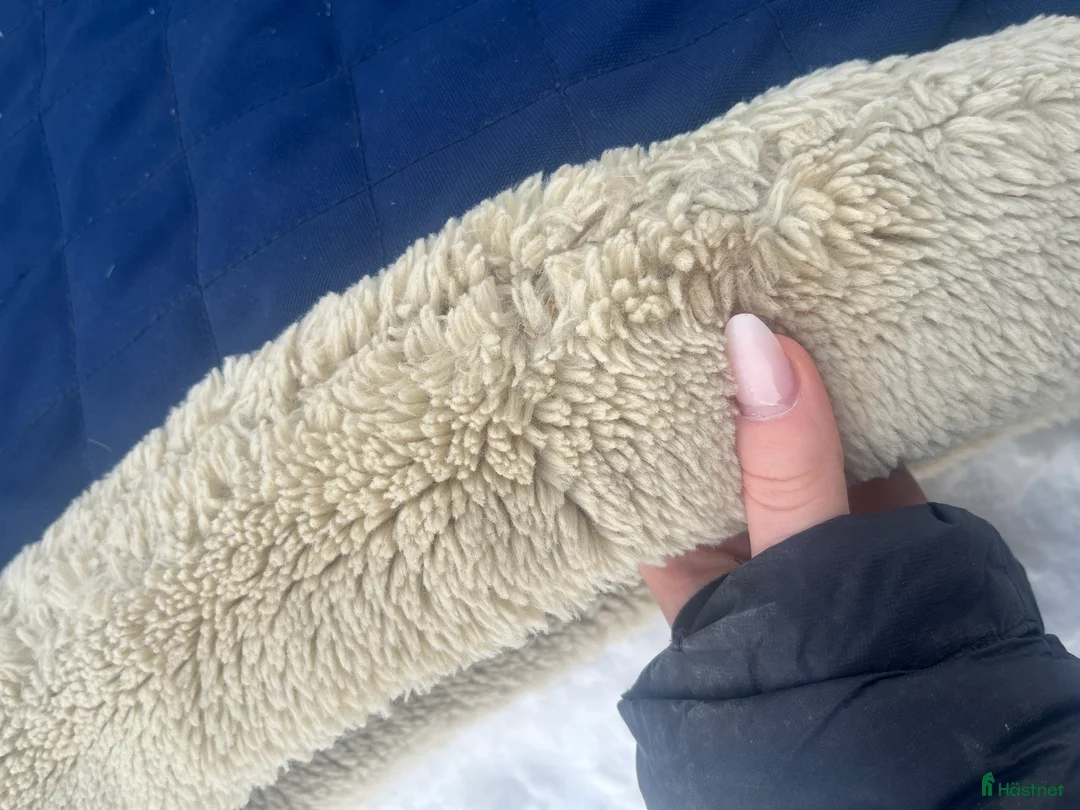 Täcken hästutrustning till salu: Kentucky täcke i Södertälje - Annons 2