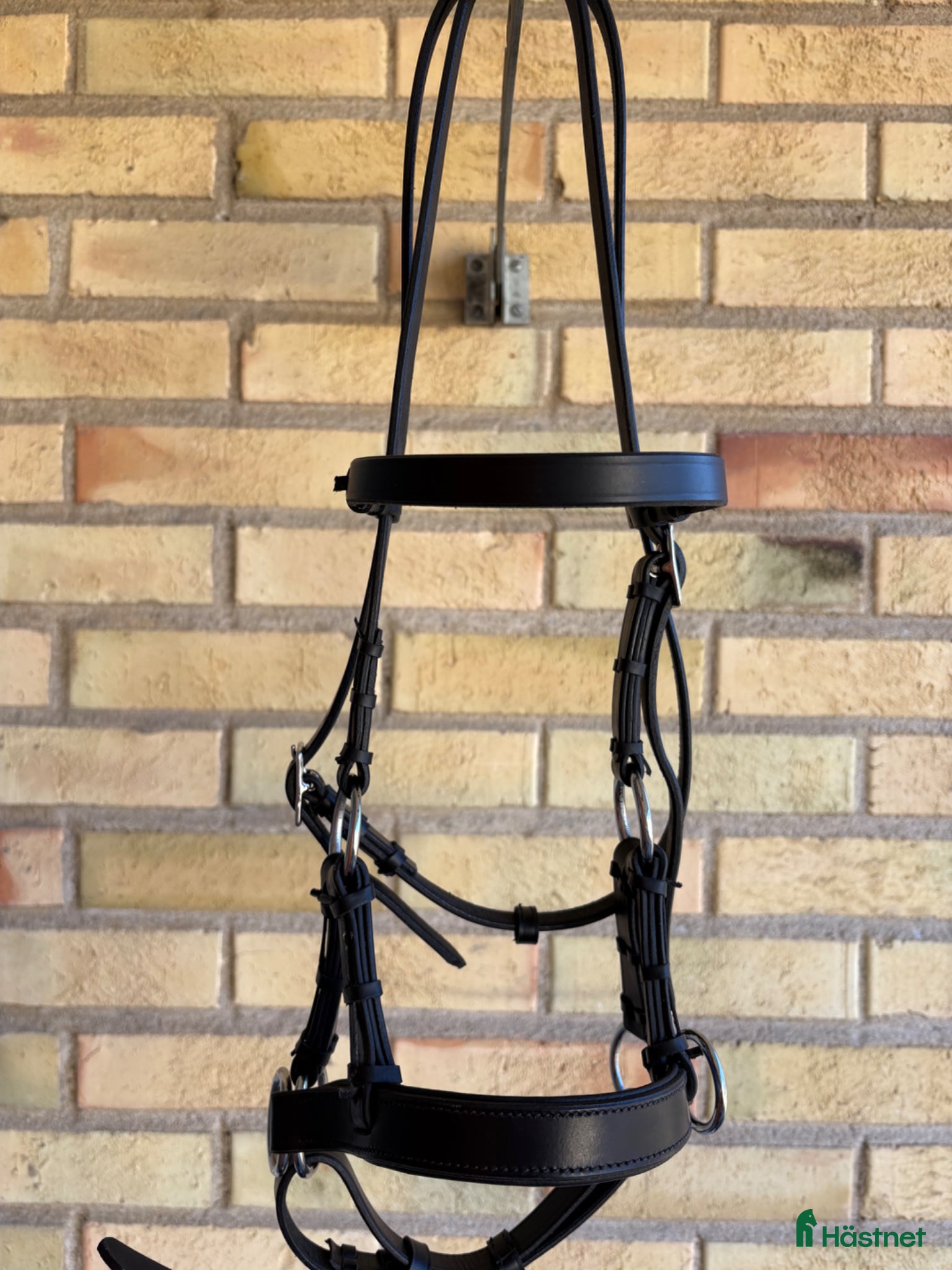 Träns hästutrustning Sidepull cob - Annons 7