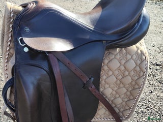 Sadlar hästutrustning till salu: Dressyr sadel i Säve - Annons 21