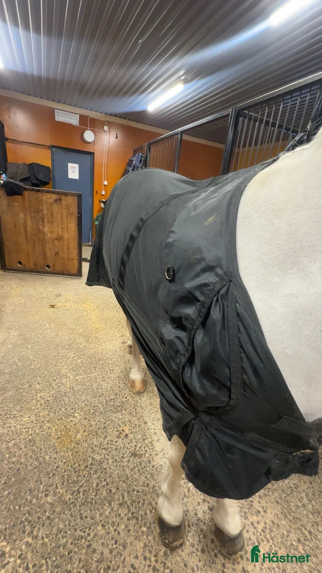 Täcken hästutrustning till salu: Back on track nättäcke storlek 135 i Boden - Annons 2