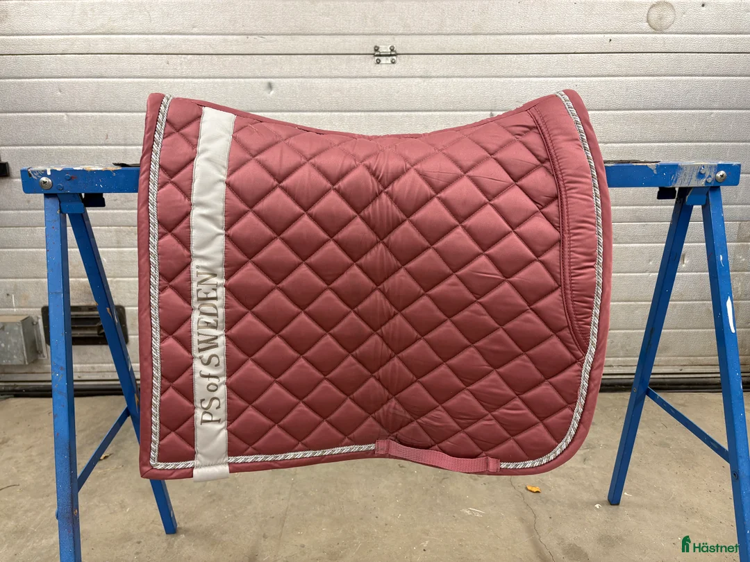 Sadeltillbehör hästutrustning till salu: Dressyrshabrak PS, ES och Mias (flera) - Annons 6