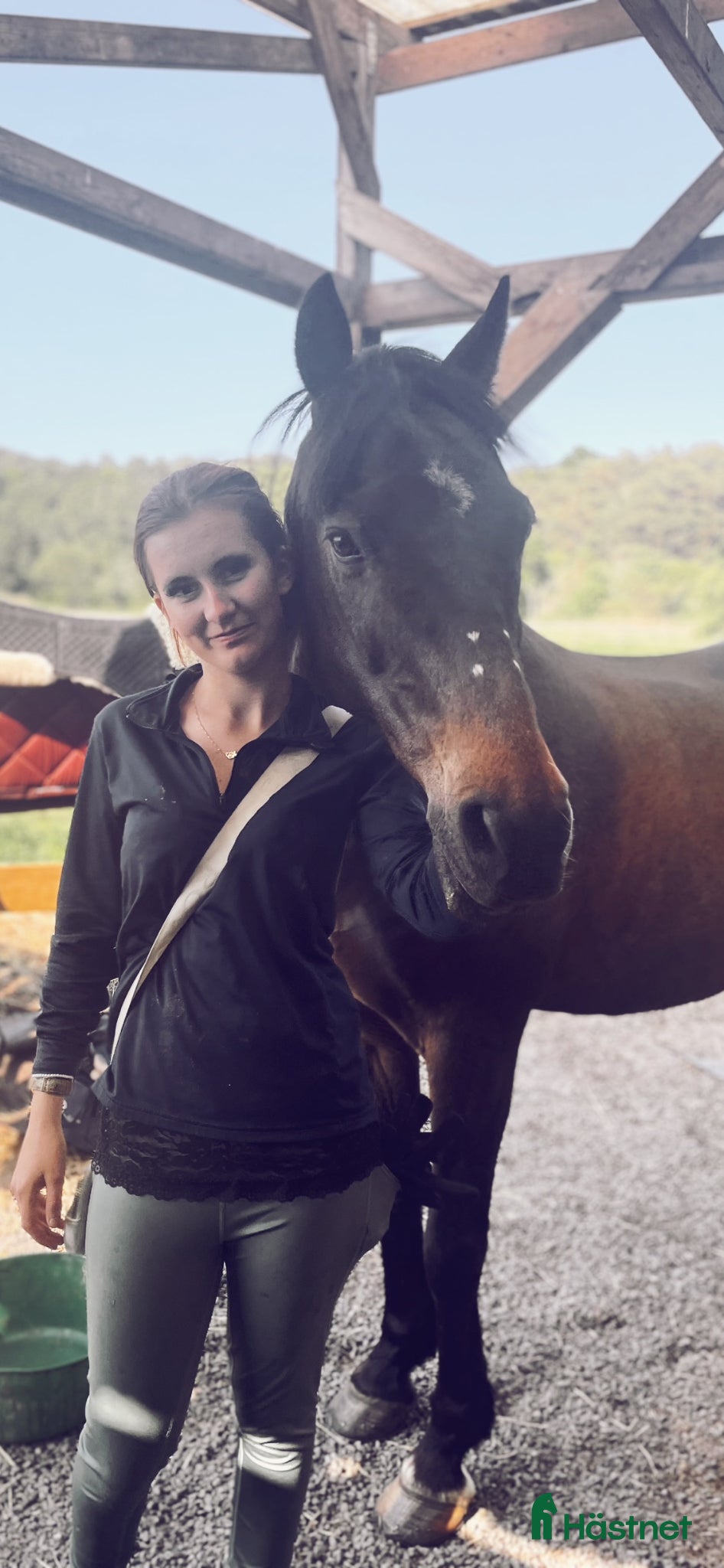  hästar Partner in crime sökes!  - Annons 1