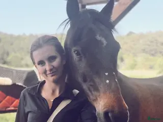 hästar Partner in crime sökes! - Annons 1