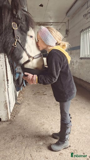 Galleribild {{count}}