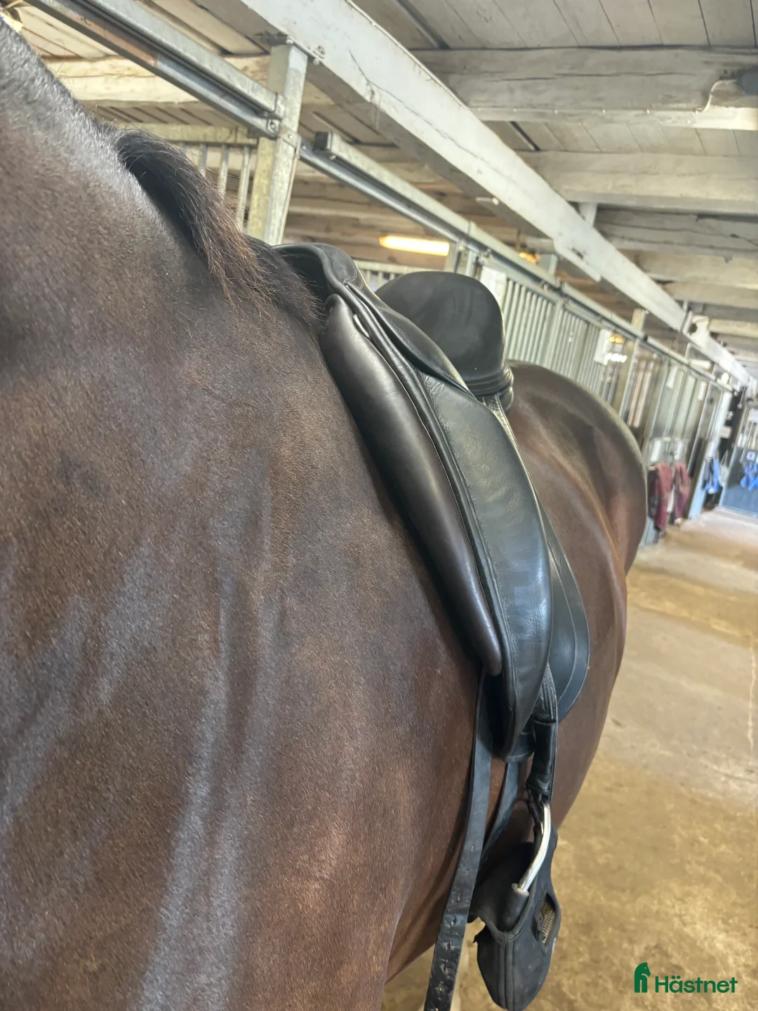 Sadlar hästutrustning till salu: Super fin dressyrsadel Childeric DAC i Sundbyberg - Annons 2
