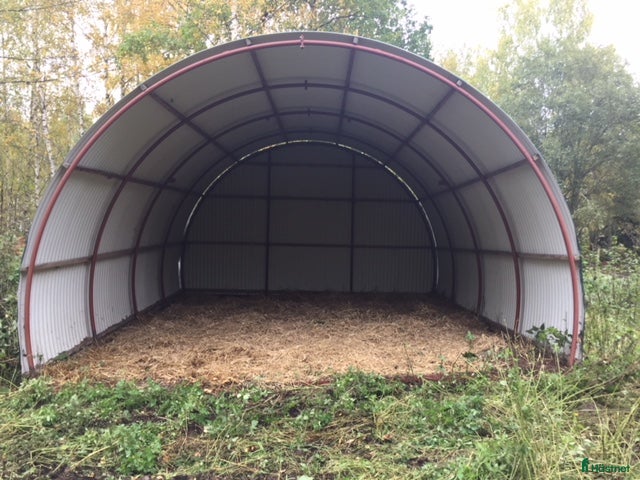  stallplats Plats i lösdrift utanför Söderköping/Norrköping i Söderköping - Annons 5