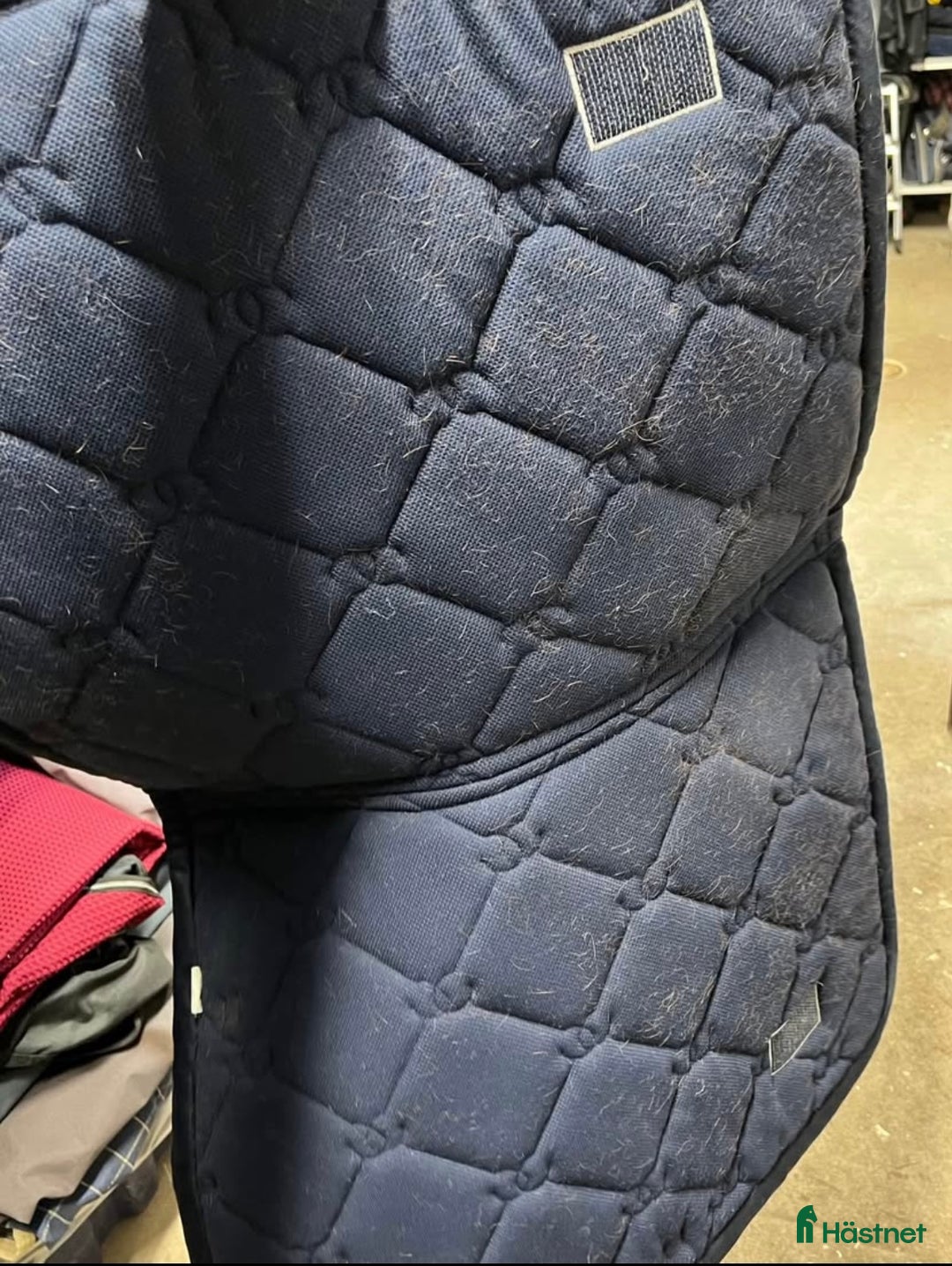 Schabrak & Vojlockar hästutrustning till salu: Equestrian Stockholm schabrak + huva i Hörby - Bild 6