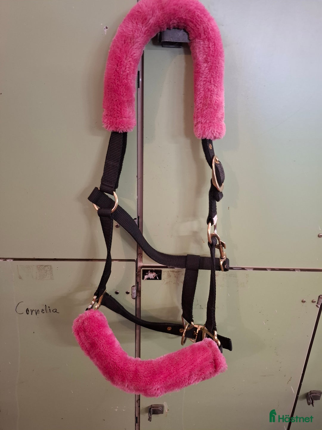 Övrig Hästutrustning hästutrustning till salu: Stallrensning i Vagnhärad - Annons 4