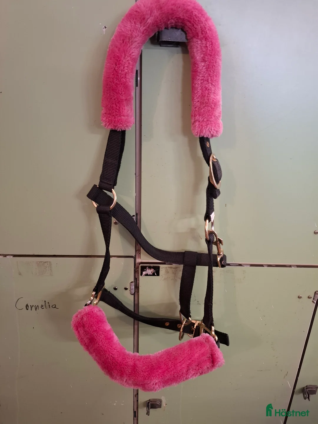 Övrig Hästutrustning hästutrustning till salu: Stallrensning i Vagnhärad - Annons 4