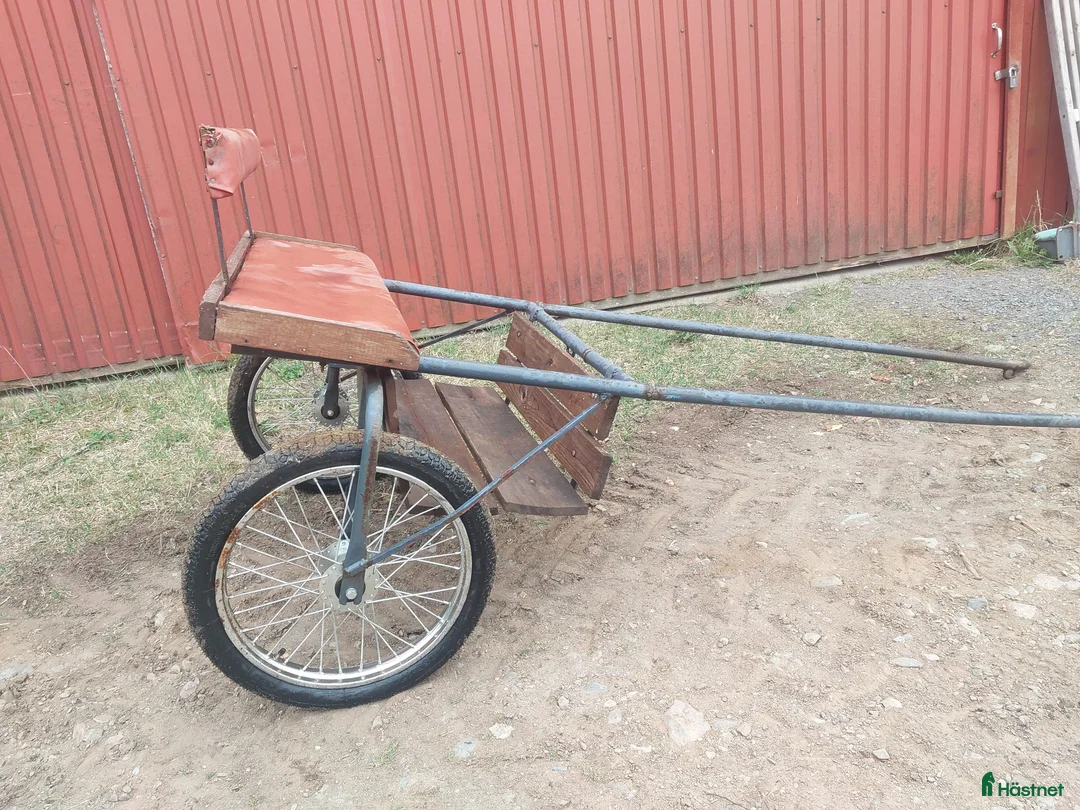 Körsulkys körning till salu: Rockard - Annons 2