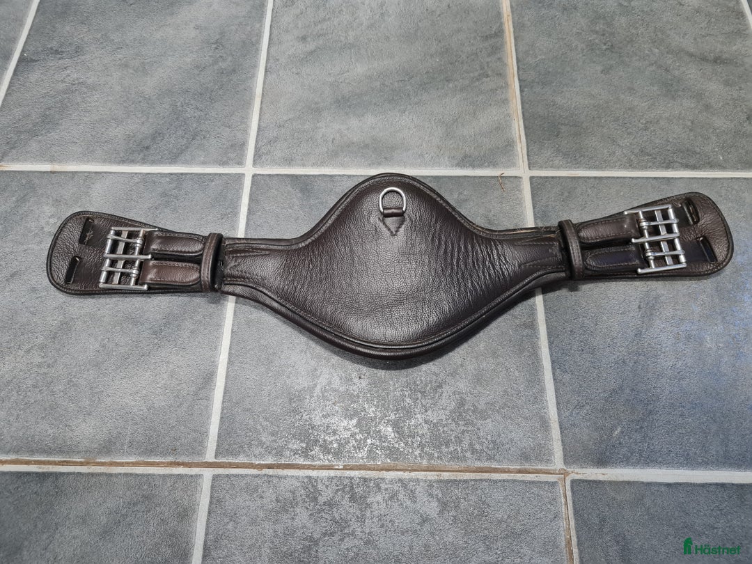 Sadeltillbehör hästutrustning till salu: Dressyrgjord i Borensberg - Annons 1