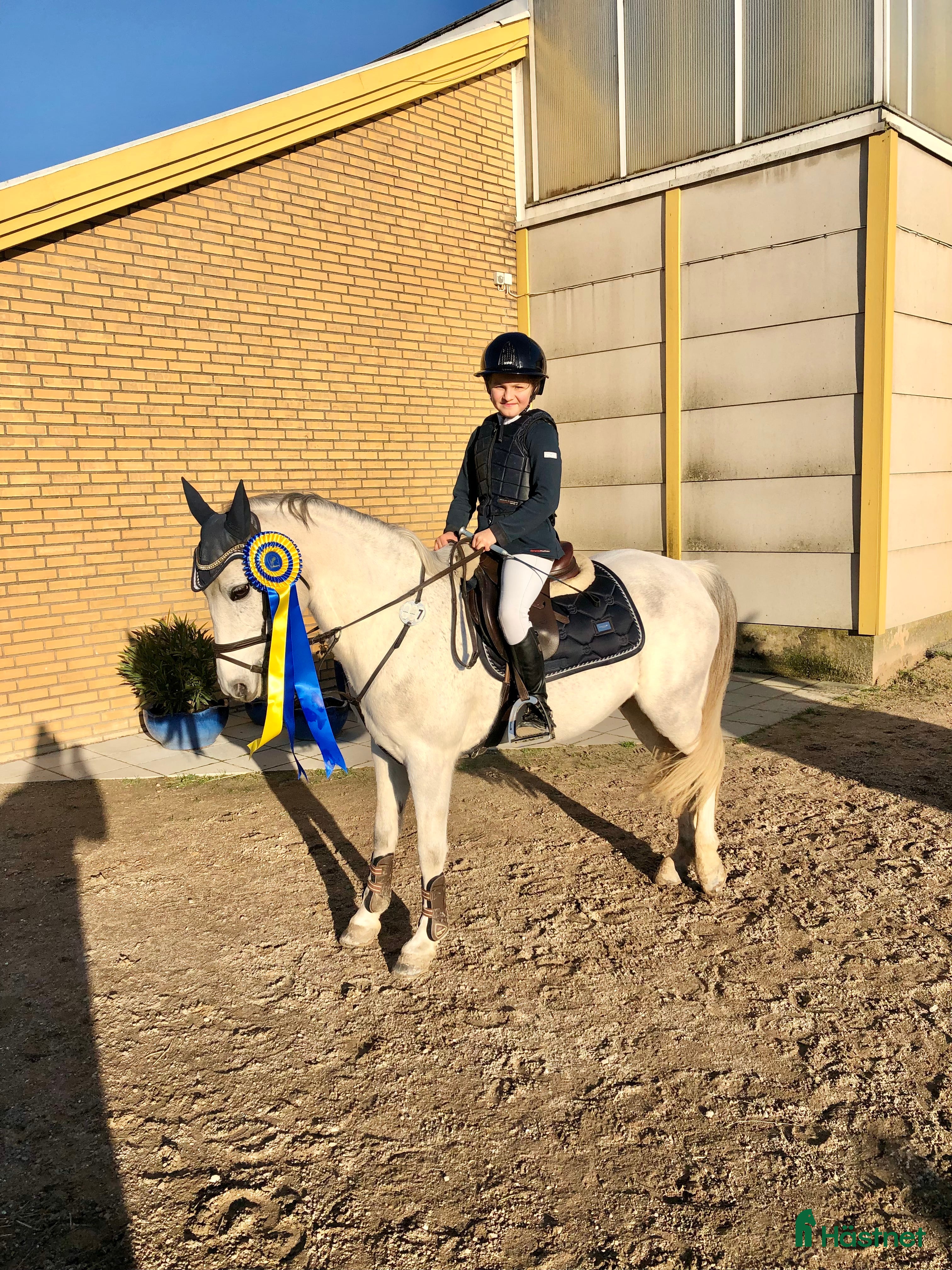  hästar Kvalitetsponny  i Vellinge - Annons 14