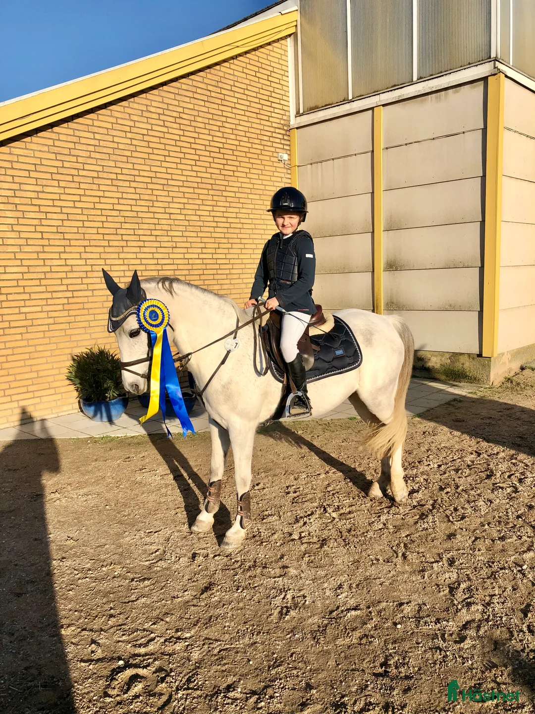 Hoppning hästar till salu: Kvalitetsponny  i Vellinge - Annons 1