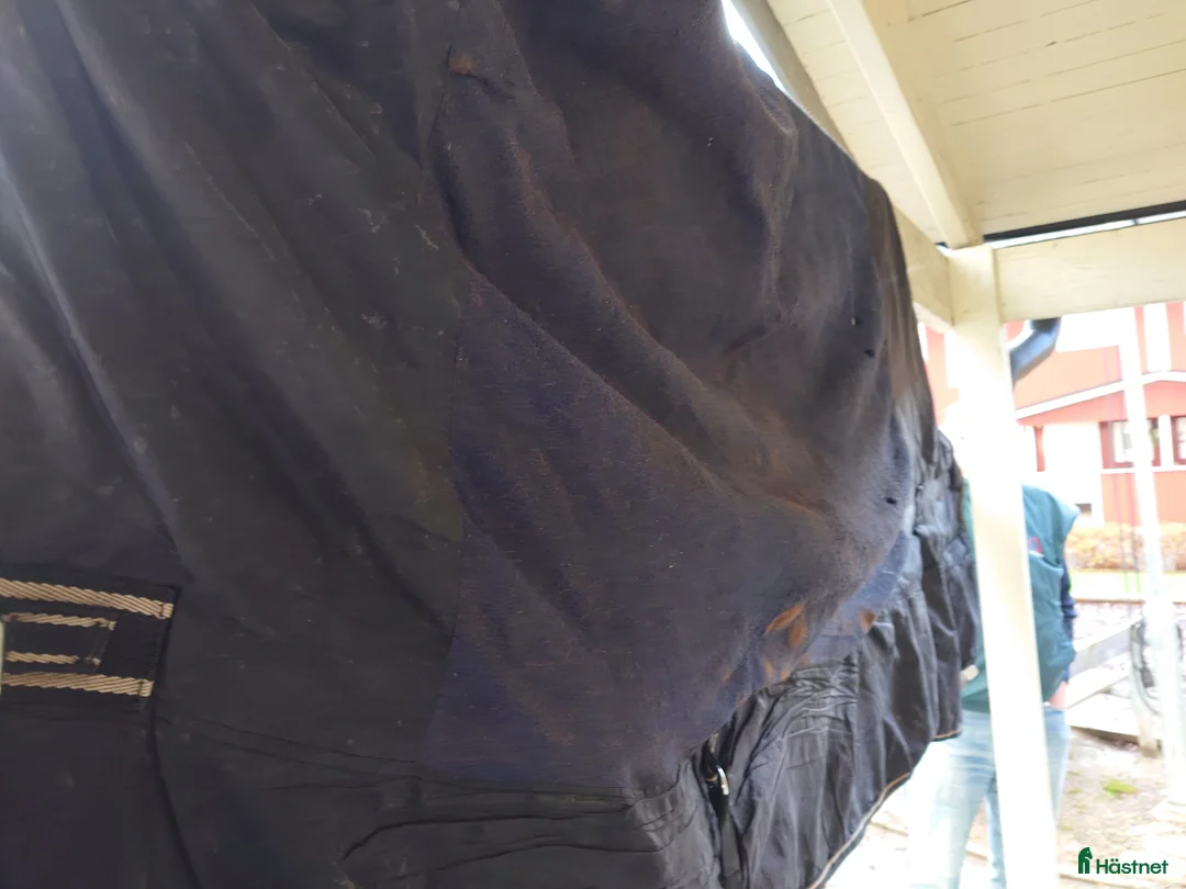 Täcken hästutrustning till salu: Tjockt vattenavvisande vintertäcke i Kista - Annons 12