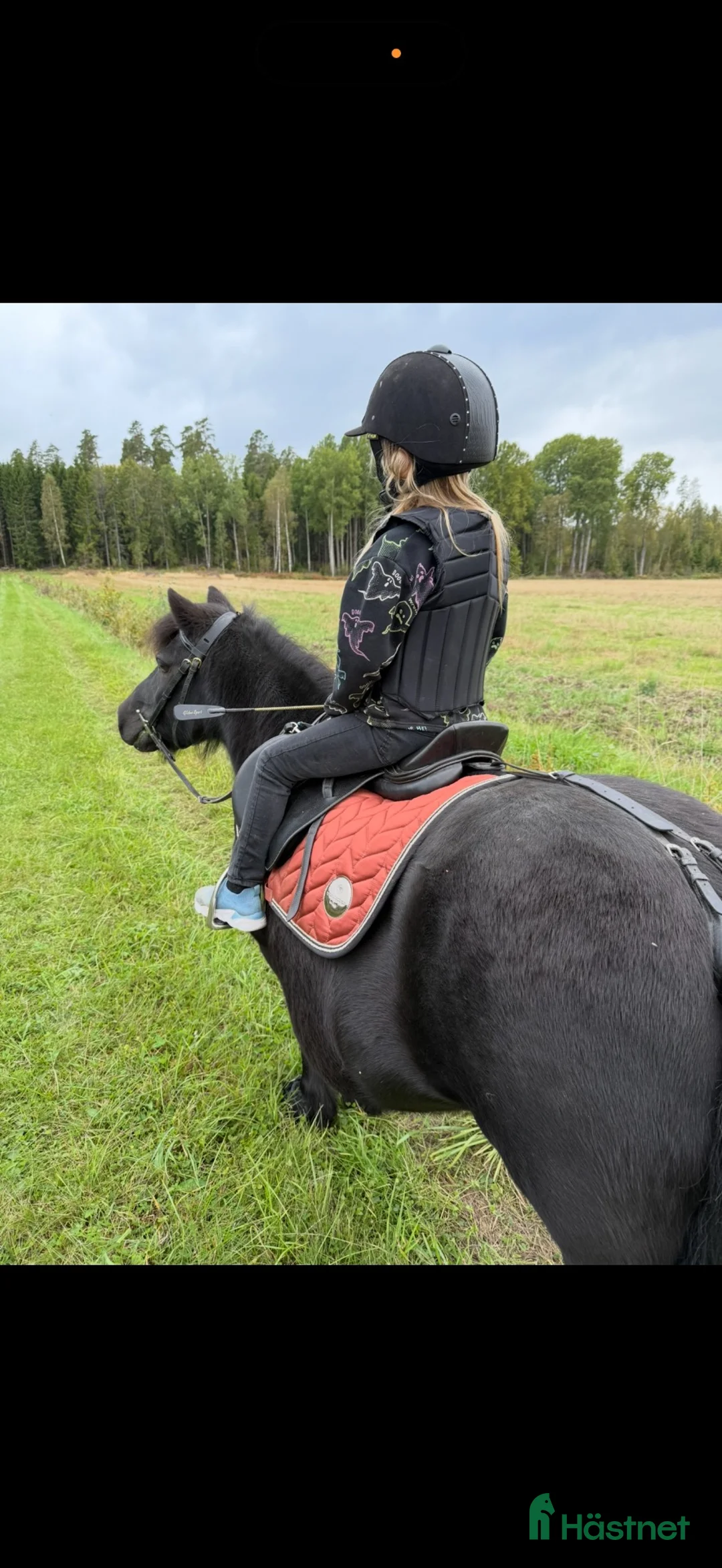 Övrigt hästar till salu: Supersnäll barnponny - Annons 2
