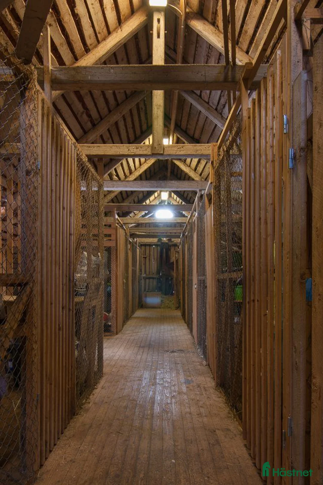  stallplats finnes: ✨ Lediga stallplatser i Karlskrona✨ i Lyckeby - Annons 2