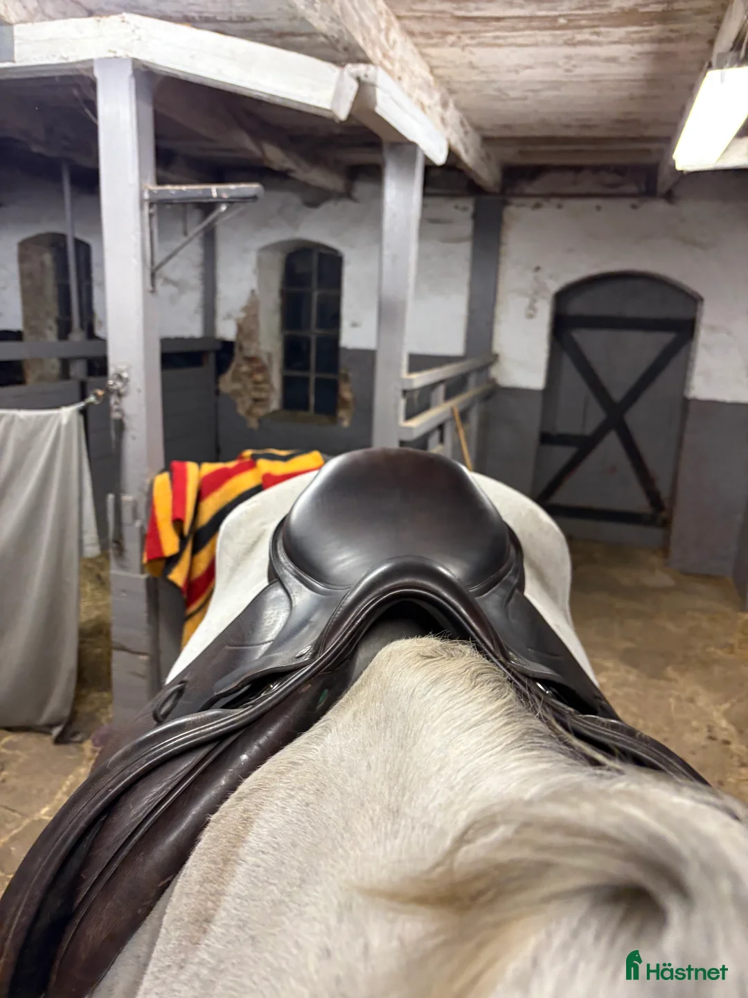 Sadlar hästutrustning till salu: Equipe Grand Prix - bud? - Annons 2